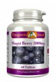 /products/maqui-berry-2000mg/